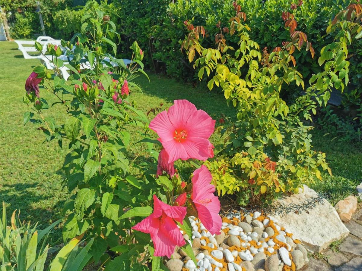 Pedemonte Villa Ruggiero The Gallery מראה חיצוני תמונה